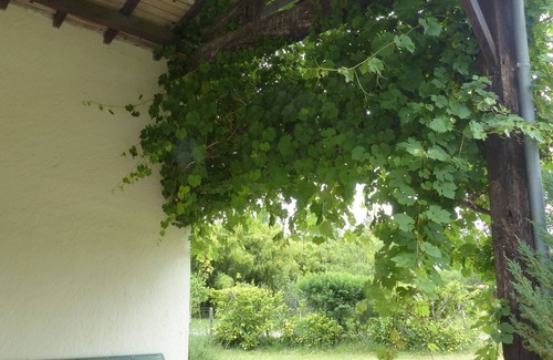 Villandraut Cottage | Large charming Landes house located in South Gironde: 9 beds