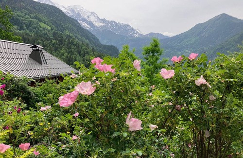 Servoz Ski Chalet | Large, comfortable apartment in a chalet near Chamonix