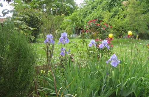 Laurede House | Large family home