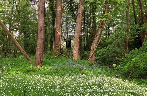 Villeneuve-sur-Bellot Other | Large Gite & Private Event Venue 85km from Paris