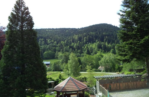 La Bresse Ski Chalet | Large gîte with Sauna and Balneo 4*, shuttle to the ski slopes!