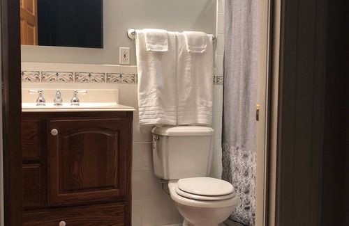Soulard House | Large Home in Heart of Soulard- close to Downtown!