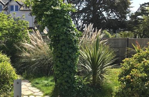 Newquay City Centre House | Large House in an Ideal Location for Families. 5 min to the Beach