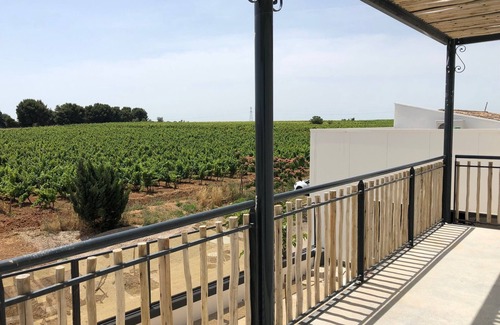 Pinet House | Large house in the heart of organic vineyards