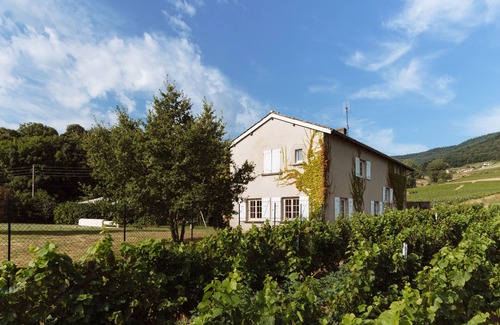Vauxrenard House | Large house in the vineyards, with character and a large secure swimming pool