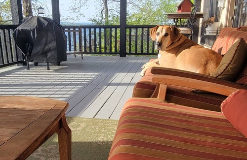 Ten Mile House | Large lake property in Ten Mile, amazing sunset views, two boat slips, fire pit