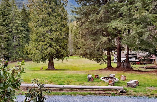 Ashford Cabin | Large Lodge at Rainer Lodge - 0.4 mi to Mt.Rainier