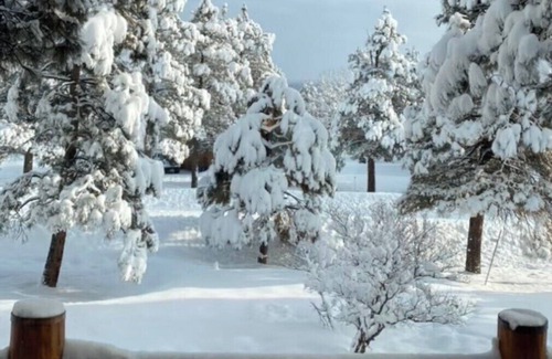 Pagosa Springs Cabin | Large luxury home. Hot Tub, Great Views, Game Room.