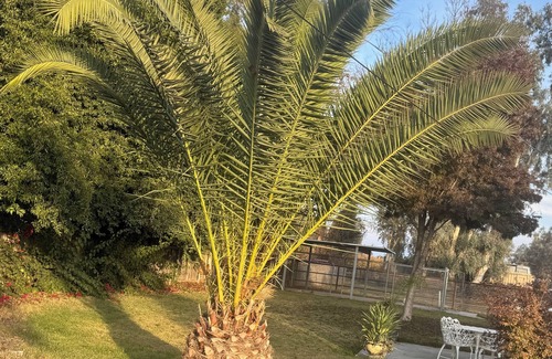 Hanford House | Large Parking/Country/Peaceful/3bedroom/2bathroom House Hanford with WiFi, AC.