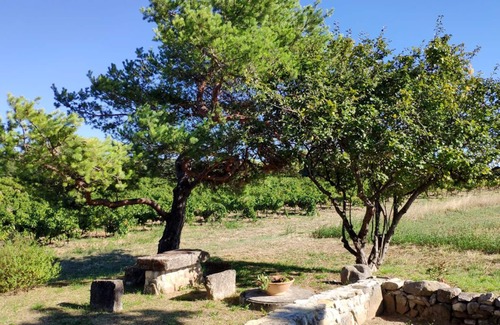 Valreas House | Large Provençal House, stunning views, quiet