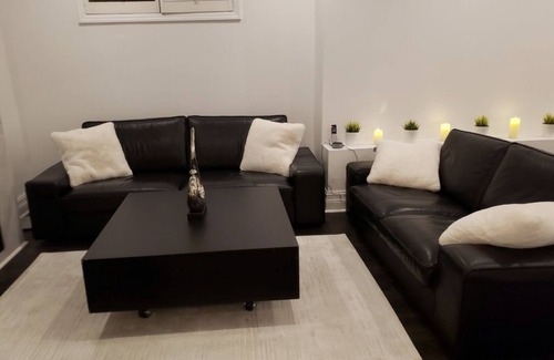 South Hill Apartment | Large renovated, furnished 1 BR basement apartment