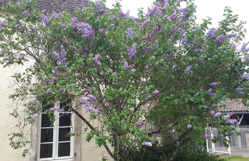 Castillonnes House | Large stone house with pool, quiet, 16 people.