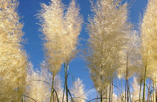 Sigonce House | Large villa and pool in the quiet of the Luberon, for 10