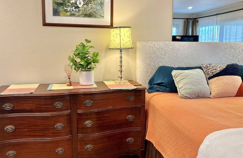Lakewood Village Villa | Large1BR house/Travel professional monthly rental/Classy-Quiet serene backyard