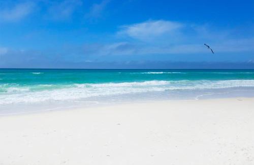Biltmore Beach House | Largo Mar 106 by Emerald Coast Retreats