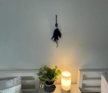Largs Apartment | Largs 2 bedroom Apartment