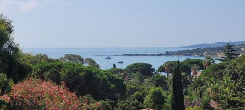 La Nartelle Apartment | Larimar Etablissement- 200 M de la mer