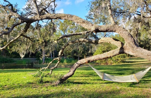 Crescent City House | Larperland 3 bed, 1 bath, 1 gig Wi-Fi, Fence