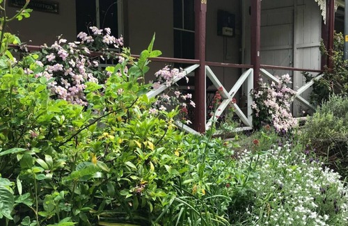Mount Victoria Cottage | Larsen's Cottage #1: Historic 1880 Home