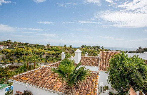 Oasis del Capistrano Apartment | Las Palmas 17B - El Oasis de Capistrano!