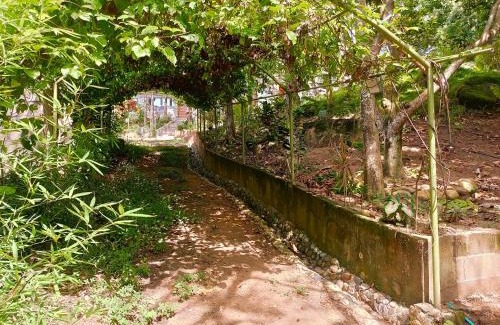 Calabazo Cabin | Las Tekas