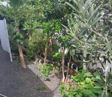 El Cuchillo Apartment | Las vistas