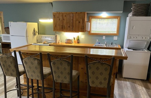 Irons Cabin | Latitude Adjustment Cabin- Close to all up north activities!!