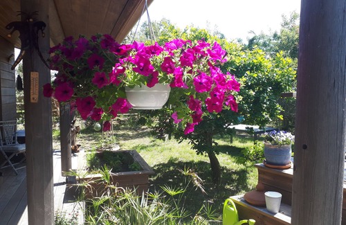 Vensac Apartment | Laurence & alex welcome you in a furnished tourist apartment