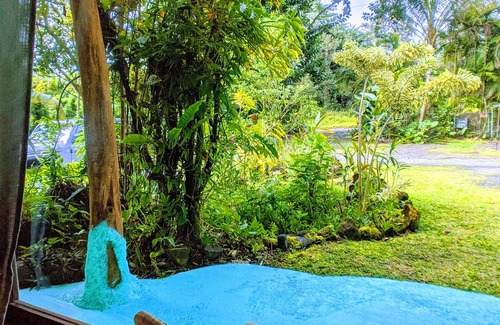 Keaau Apartment | Lava Apartment in Paradise!