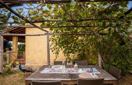 Montieri Apartment | Lavanda