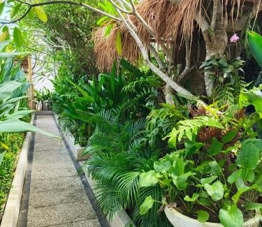 Kuta Hotel | Lavella Villas Kuta Lombok