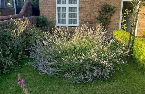 Louth Cottage | Lavender Cottage, a pretty period cottage in Louth