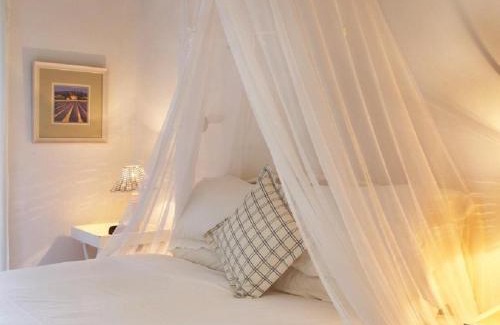 Stanford Apartment | Lavender’s Blue