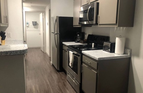 Astrodome Apartment | Lavish Apartment near Houston Medical Center