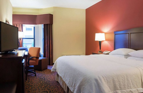 Bearss Plaza House | Lavish King Experience! Free Breakfast & WiFi