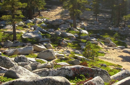 Tahoe Paradise Cabin | Lazy Bear Cabin- 3 ski areas nearby, Families, Pets-Fenced Yard, Foosball Fun