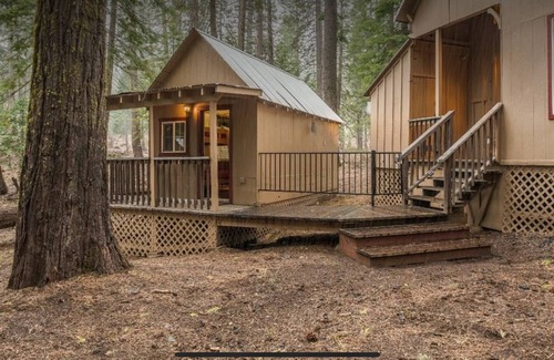 Camp Connell Cabin | LAZY BEAR CABIN! Sleeps 10-12, wheelchair accessible, great Highway 4 location.