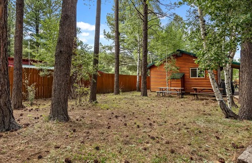 Greer Cabin | Lazy Trout Pinon Cabin