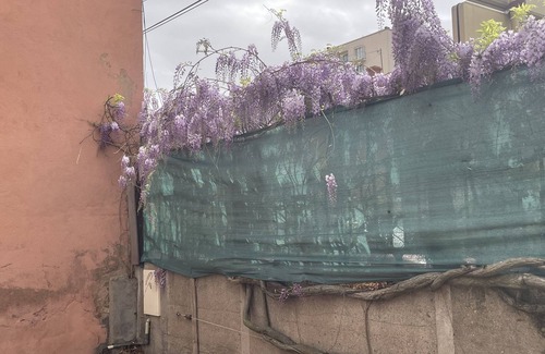 Roanne Apartment | Le 004 de L'avenue, Appartement Tout Confort