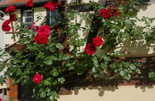 Barr Apartment | Le Bacchus