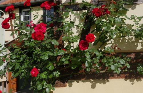 Barr Apartment | Le Bacchus