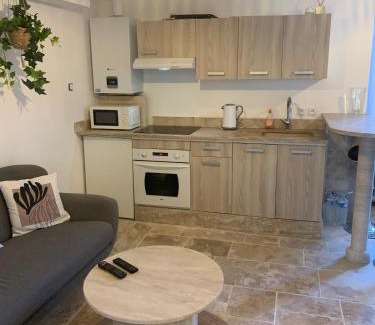 Mer Apartment | Le Beau Pichot - 2 appartments, 2 chambres, jardin, max 4 pers