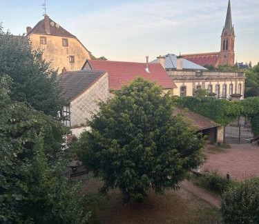 Saverne Apartment | Le belvédère au cœur de Saverne