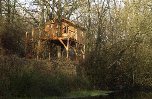 Gennes-Val-de-Loire Other | Le Bois Davy