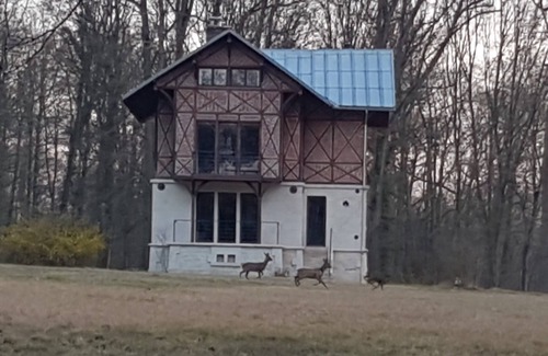 Betz House | "Le Bois du Valois" 4* gîte - 4 rooms -10 beds - Betz - Oise - 1h from Paris