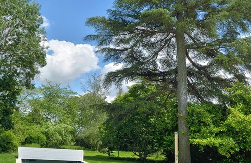 Les Rosiers-sur-Loire House | Le Bosquet des Rosiers/Bords de Loire/Piscine
