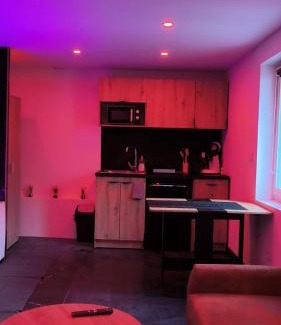 Chasse-sur-Rhone Apartment | Le boudoir des jouissances perverses