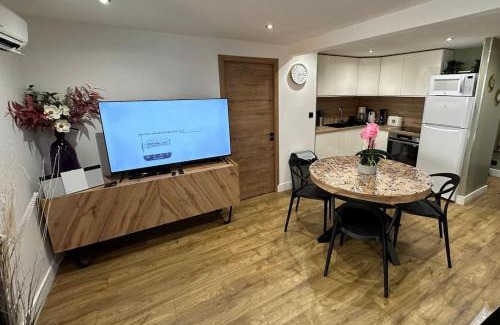 Poincare - Foch - Anatole France - Croix de Bourgogne Apartment | Le Briand Appartement 4étoiles Nancy Thermal Cosy avec Terrasse Wifi