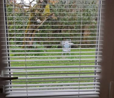 Aubigny-sur-Nere Bed & Breakfast | le buisson de la gariole ,chambre rhétaise