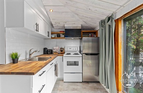 Sainte-Lucie-des-Laurentides Ski Chalet | Le1615 - Lake, Private dock- Cottages in the north
